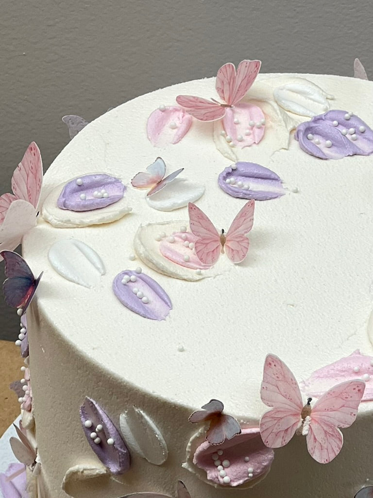 Butterfly Dreams