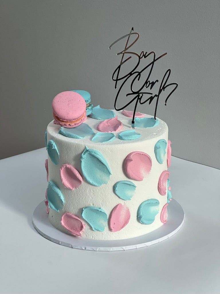 Mini Gender Reveal - Cotton Candy with Macarons