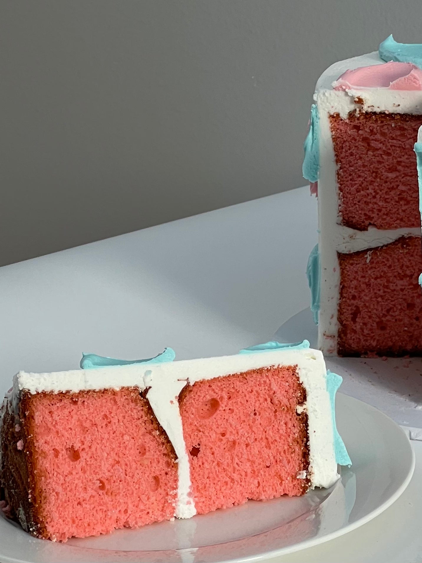 Mini Gender Reveal - Cotton Candy with Macarons